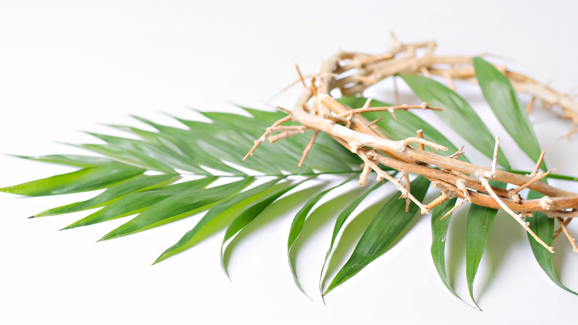 Holy Week Family Devotional Kits