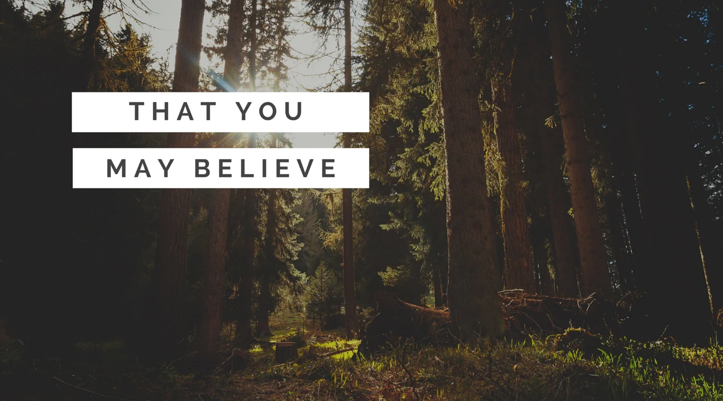 08.07.16 That You May Believe - Healing the Pain