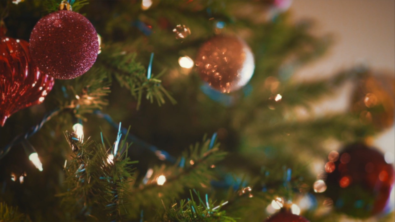12.11.16 Christmas Is Not Your Birthday - Scandalous Love