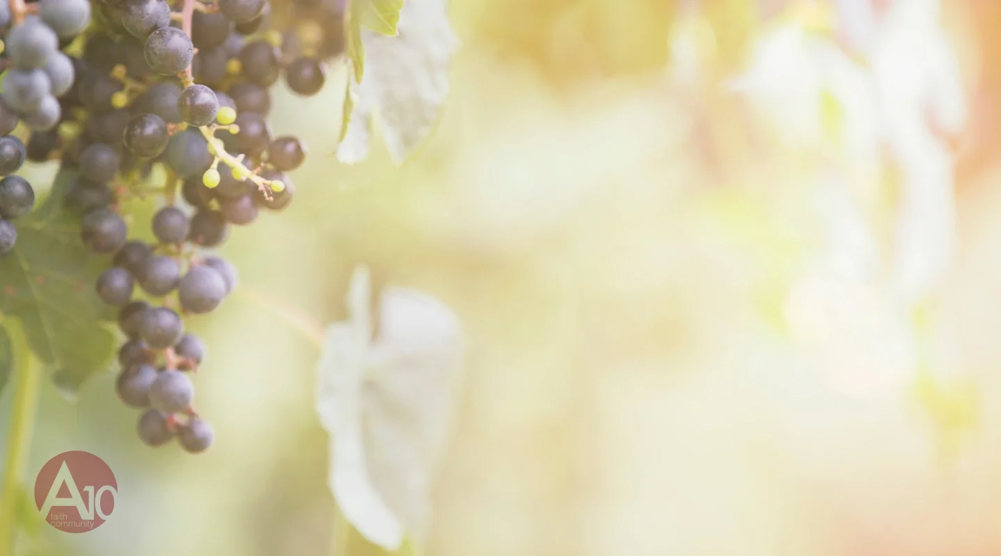 03.19.17 TYMB - Revolution and Denial