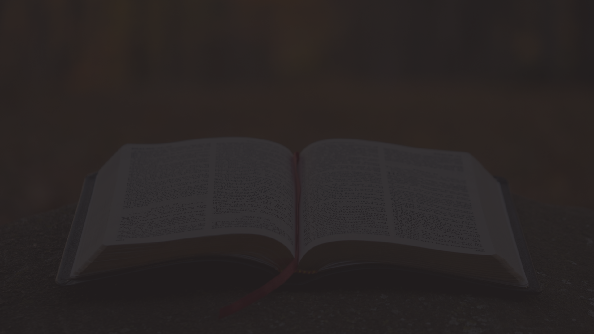 03.018.26 - Why We Trust This Book