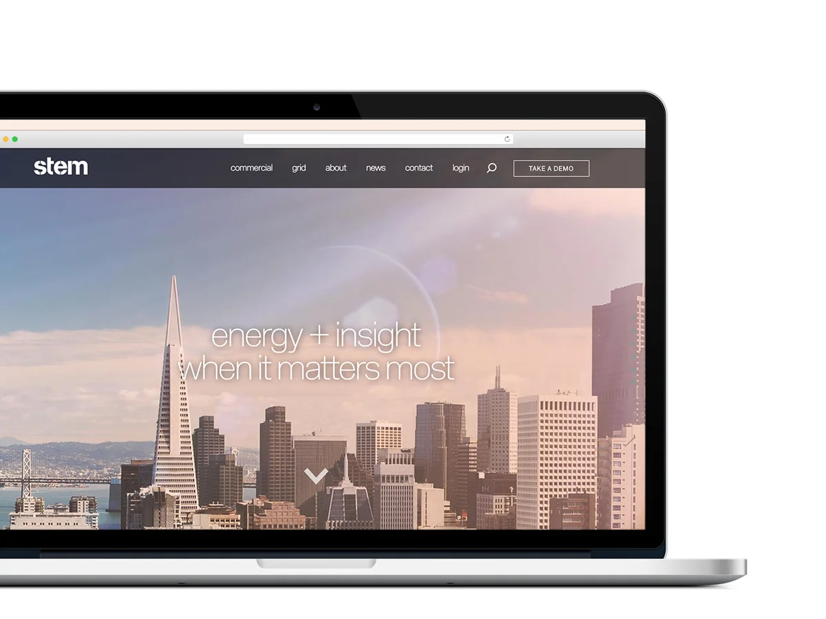 Stem | Custom WordPress Theme Design