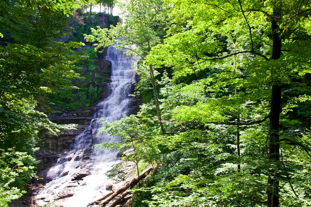 Pratt's Falls Park, Pompey, NY: One of my favorite all-time parks! I used to come here often with my old pup, Goldi. It’s a magical space with four seasons of fun. The falls were raging on our visit.