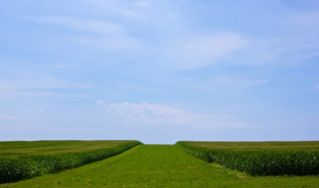 Hazelton, IA: The symmetry of farm country can be hypnotizing.