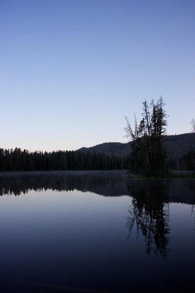 Yellowstone National Park, WY: Sylvan Lake at the crack of dawn.