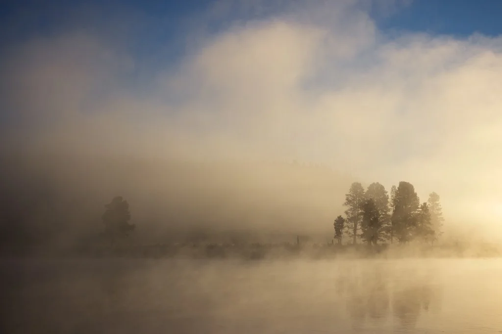 Yellowstone National Park, WY: Geothermal morning mist creates pretty decent filtering.