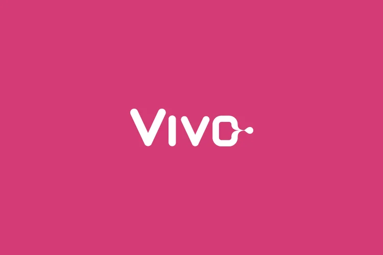Vivo changed the way IT staffing works in the Silicon Valley with their nimble approach.