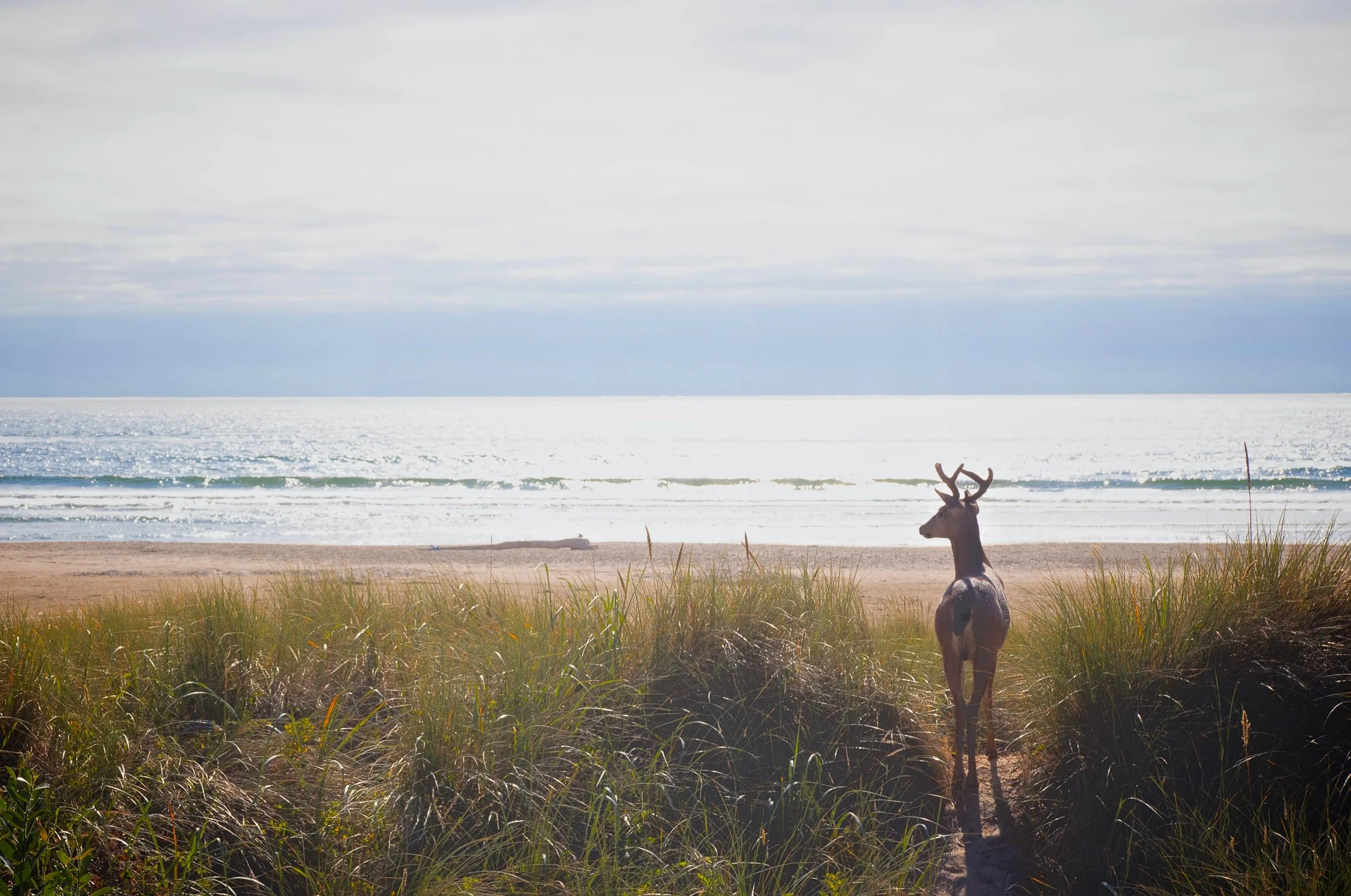 Manzanita, Oregon | 2018