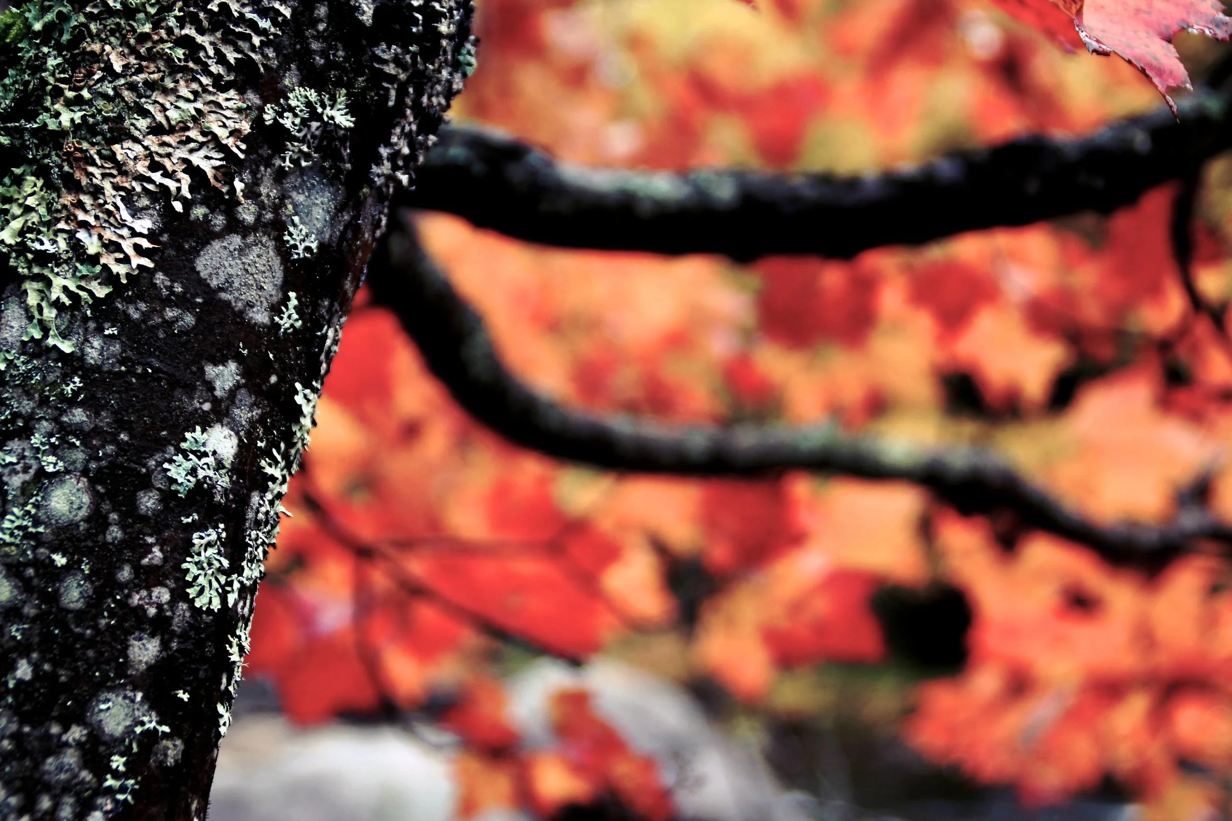 Lake George, New York | 2011