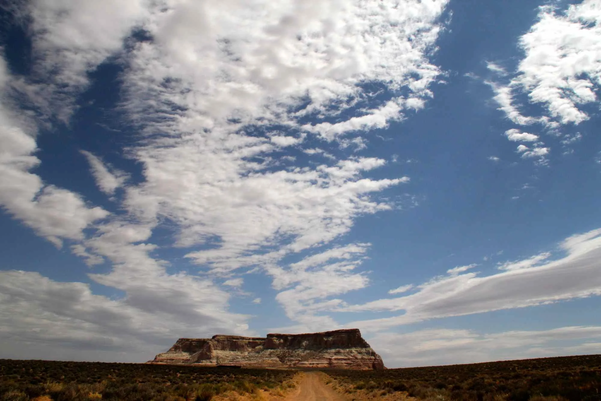 Arizona | 2011