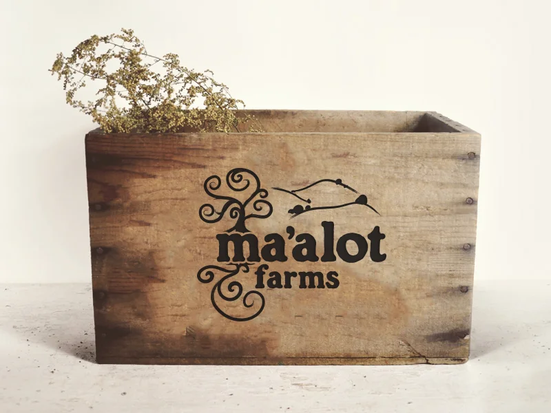 Logo Design