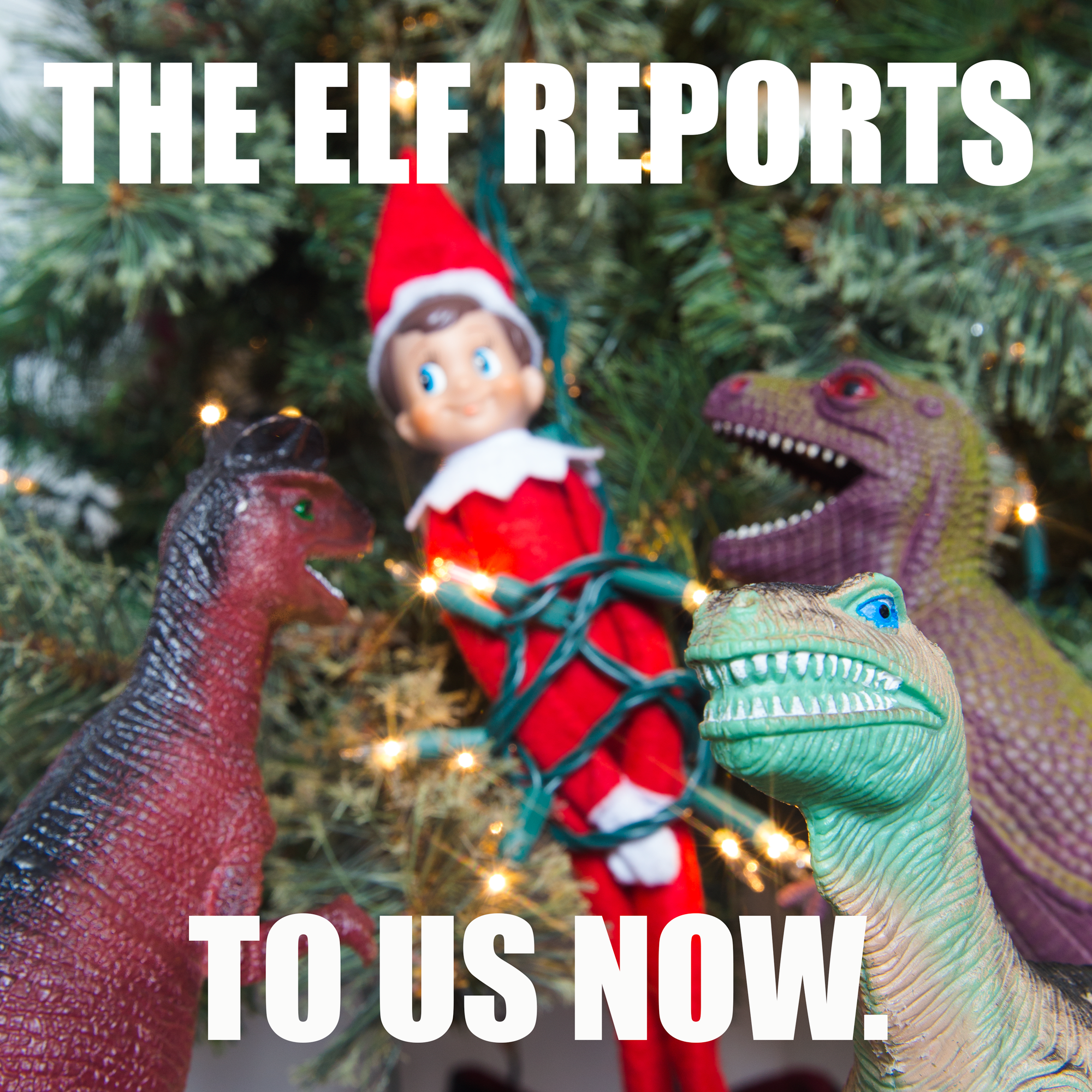 dinos_VS_elf.png