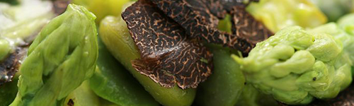 asperges header.png