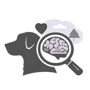 Understanding the cause of your dog's behavior. 