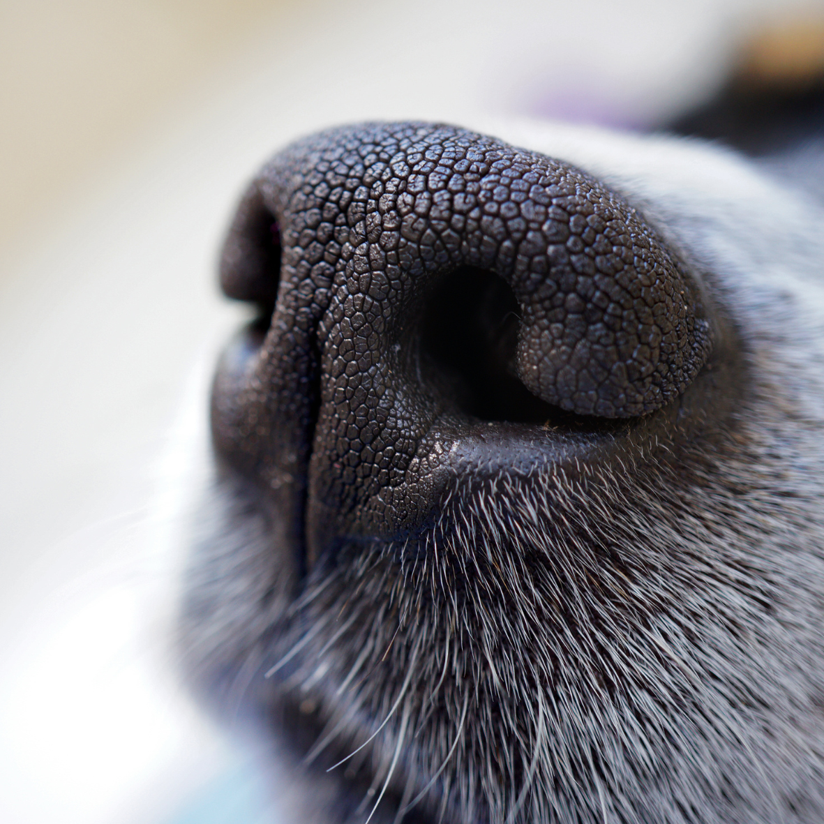 Untitled (Circle Sticker) (2).png