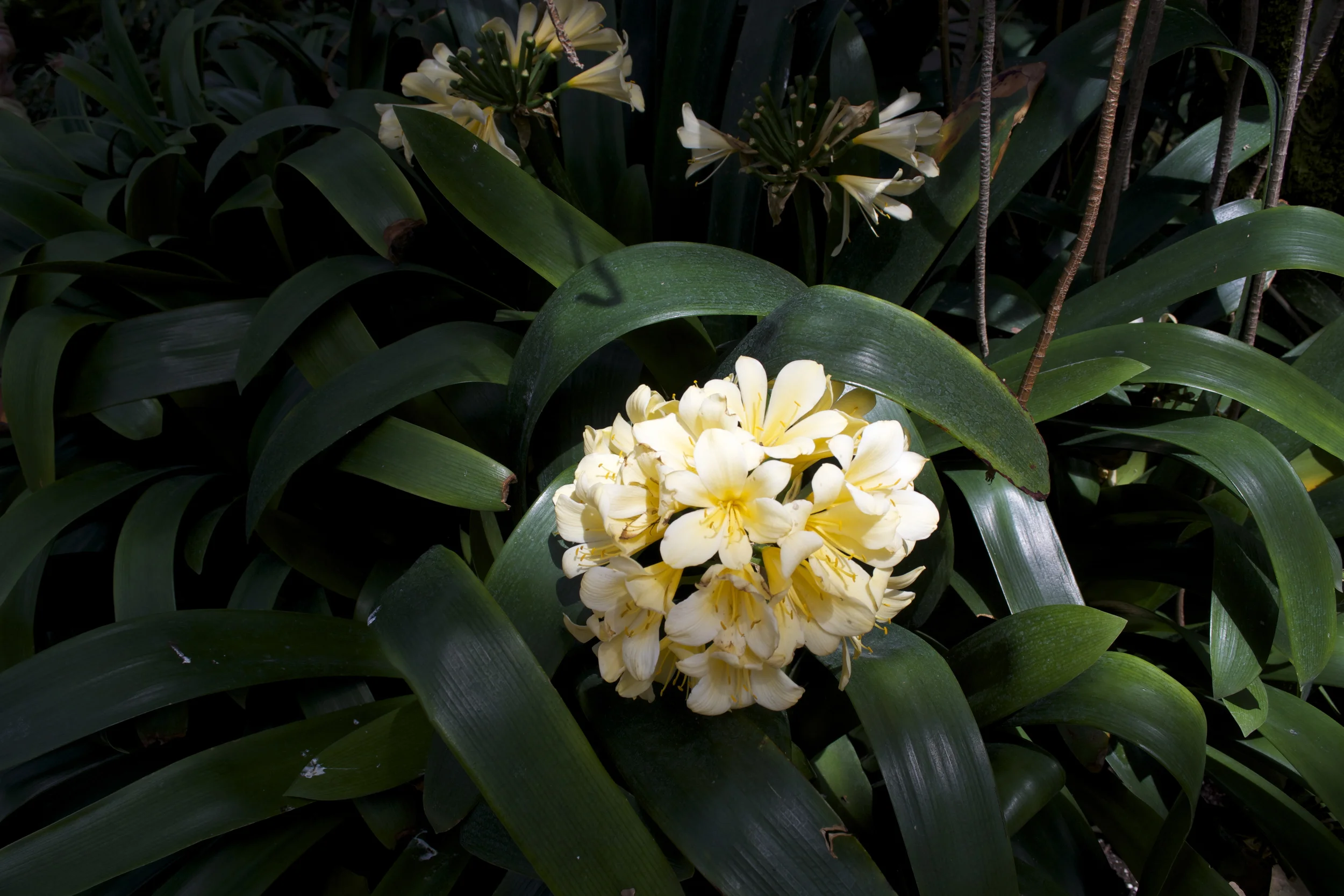 DSC_0074.jpg
