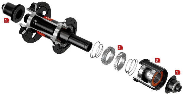 A glimpse inside a DT Swiss hub. This exploded view shows both the simplicity of design and easy serviceability of these fine hubs. 