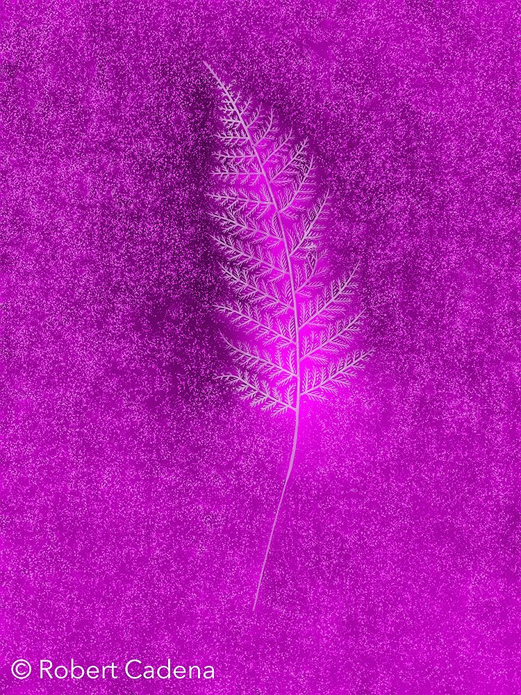 Glowing_Fern_Leaf.jpg