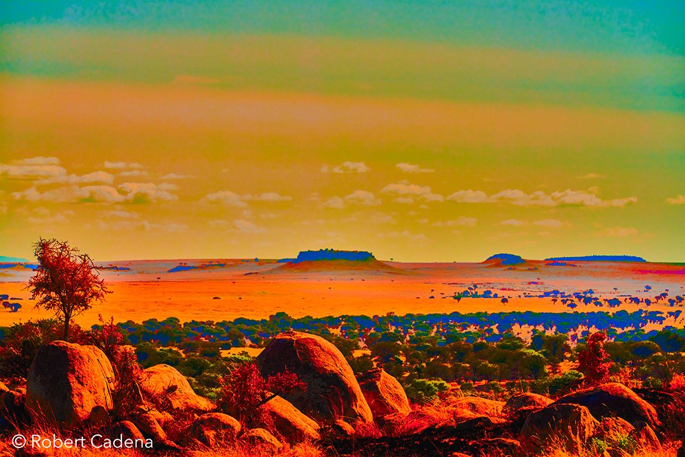 African_Desert_Technicolor_By_Robert_Cadena.jpg