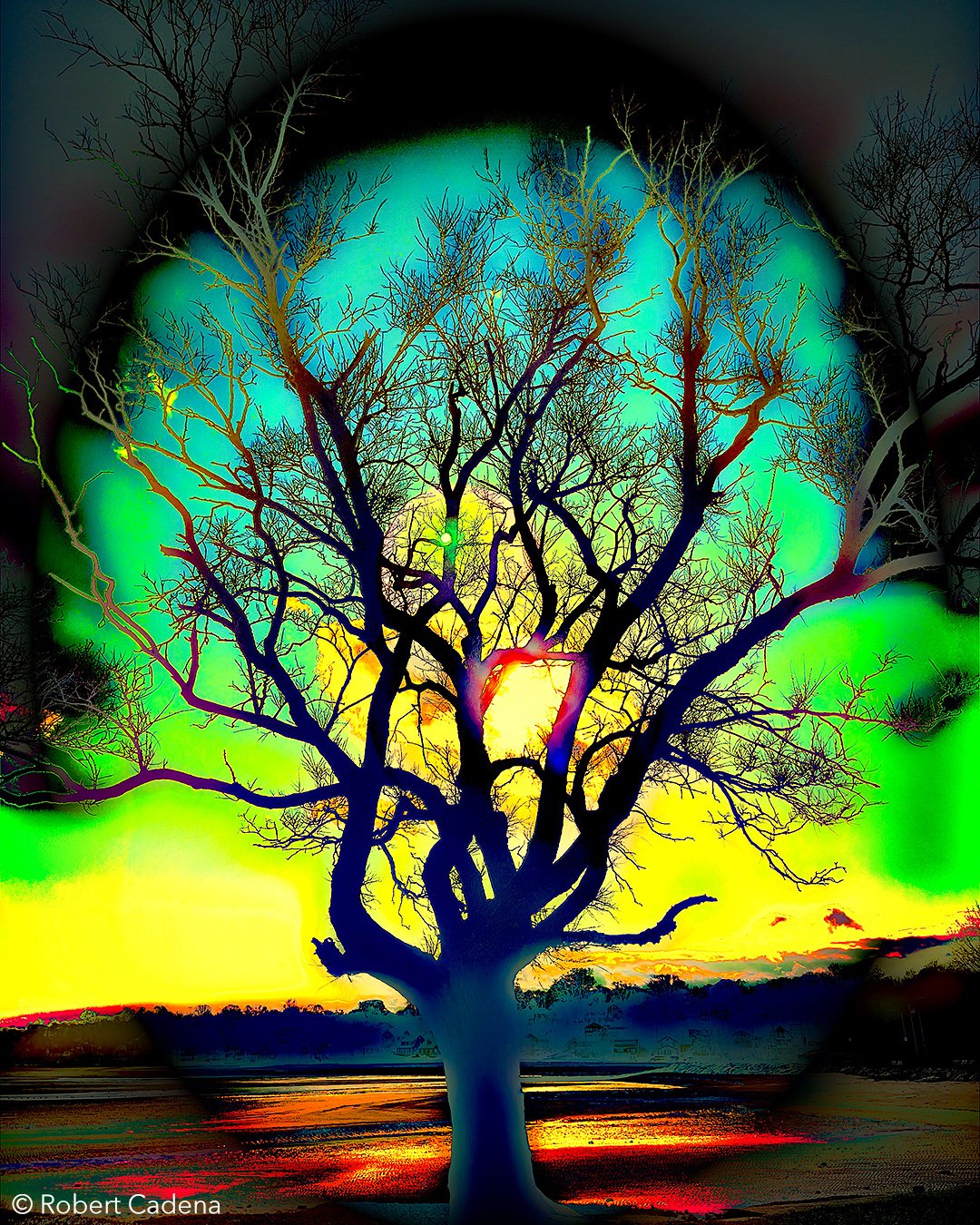 Rainbow-Tree-By-Robert-Cadena-2023.jpg