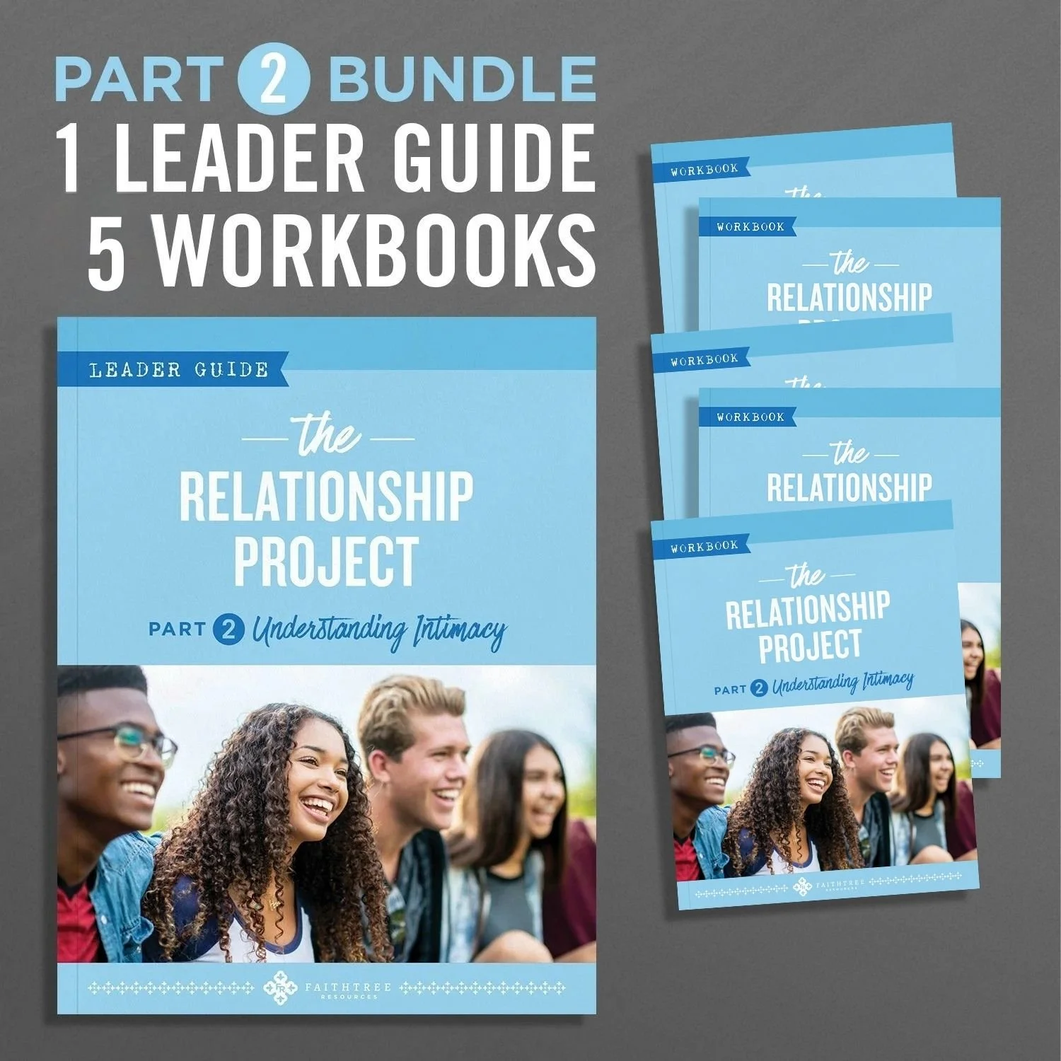 The Relationship Project | Part Two | Leadership Bundle