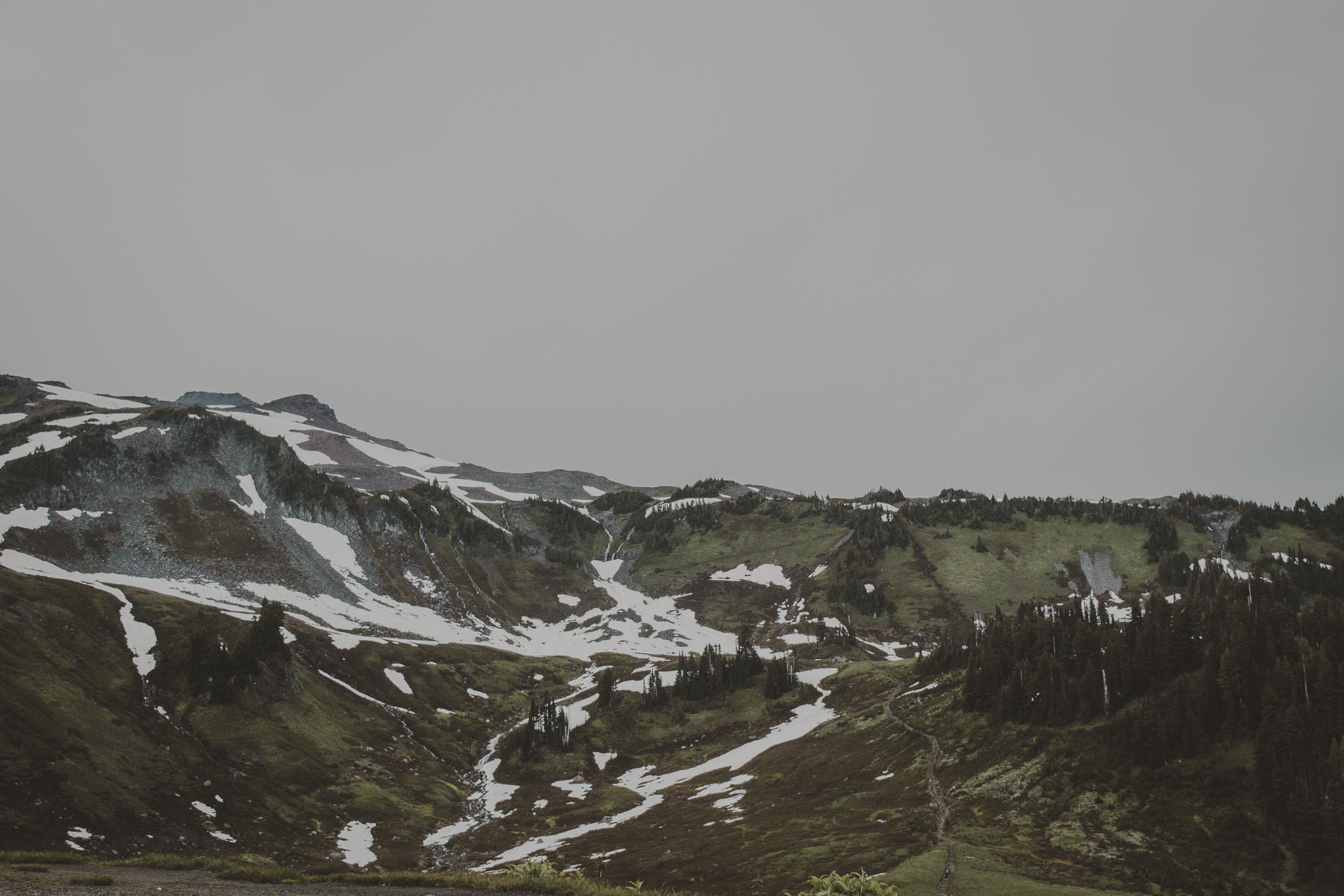 DSC_0111.jpg