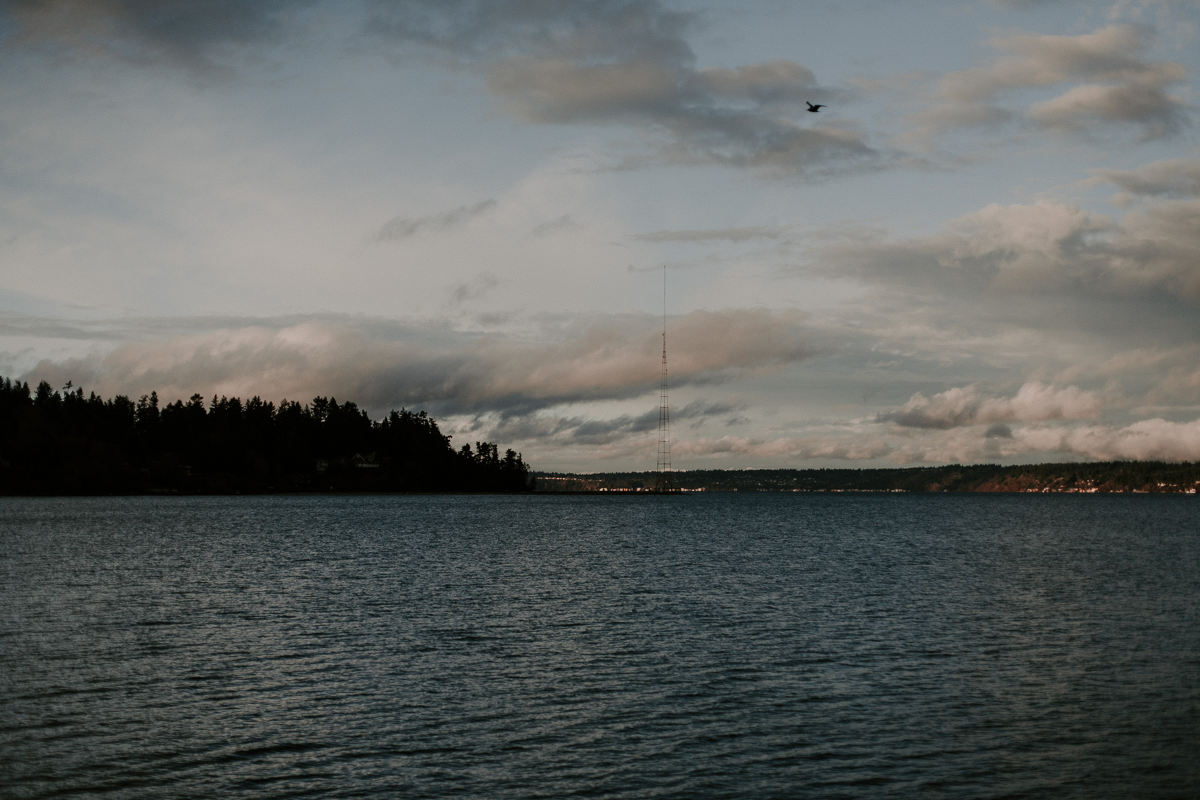 @daniellecarissa_theresaandconnor_vashonisland-1587.jpg
