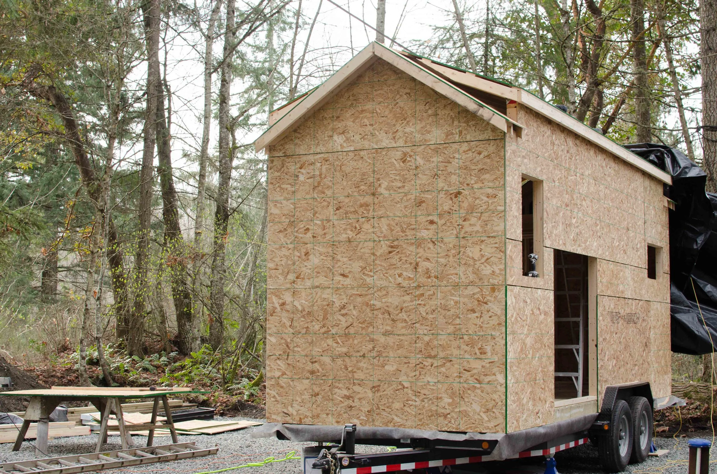 Once the plywood went up, the excitement level skyrocketed.