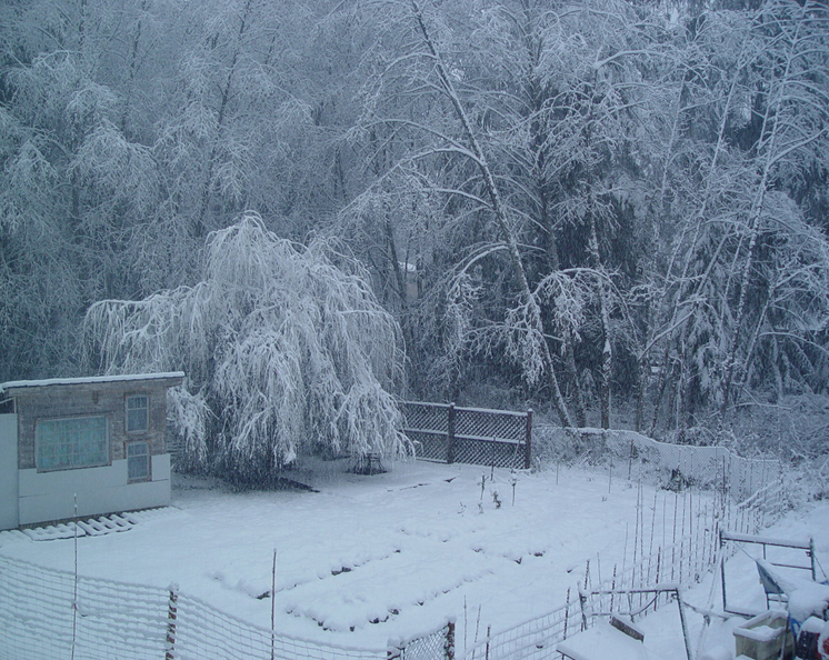GardenViewFromLoftInWinter-sm.jpg