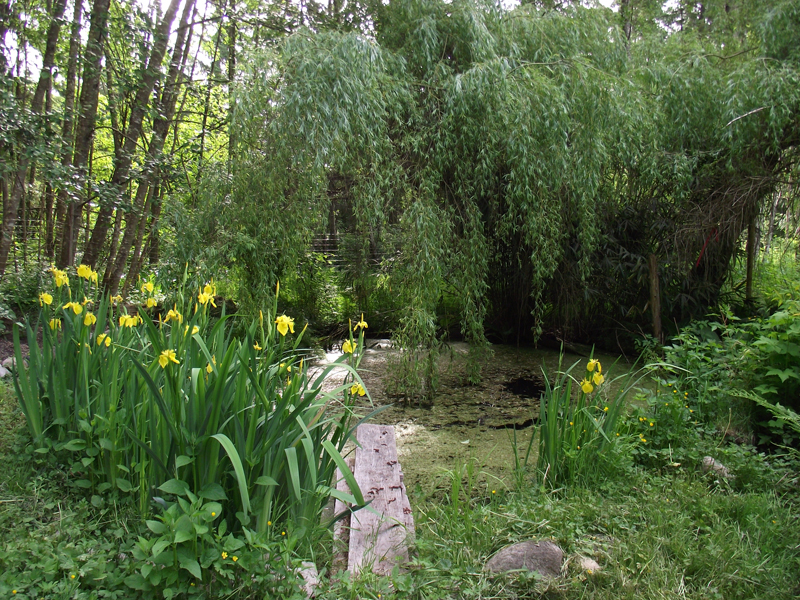 Garden&Willow2-sm.jpg