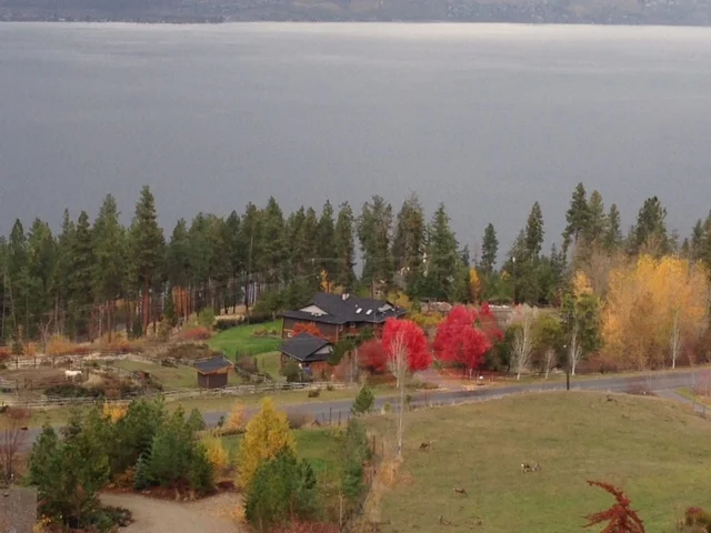 heartland+bluff+fall+lake+(1).jpeg