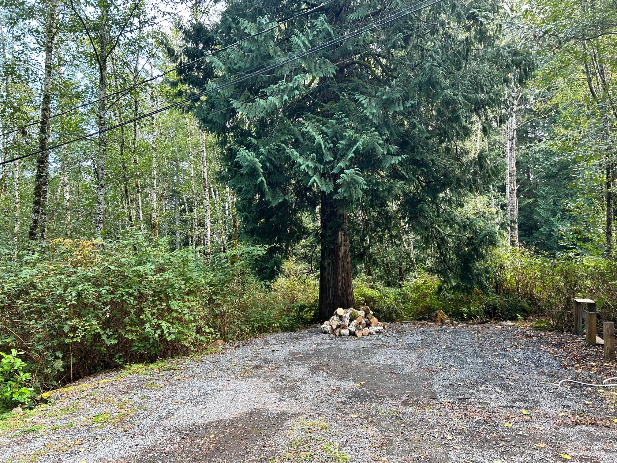 image3 (1).jpeg