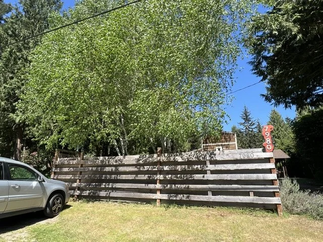image4.jpeg