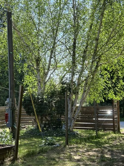 image1.jpeg