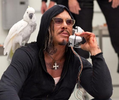 I want.... MY bird.