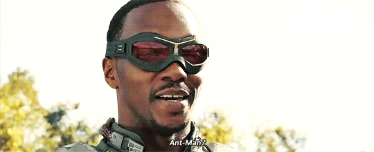 am3.gif.gif