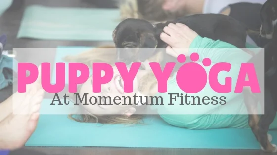 Puppy Yoga-2.jpg
