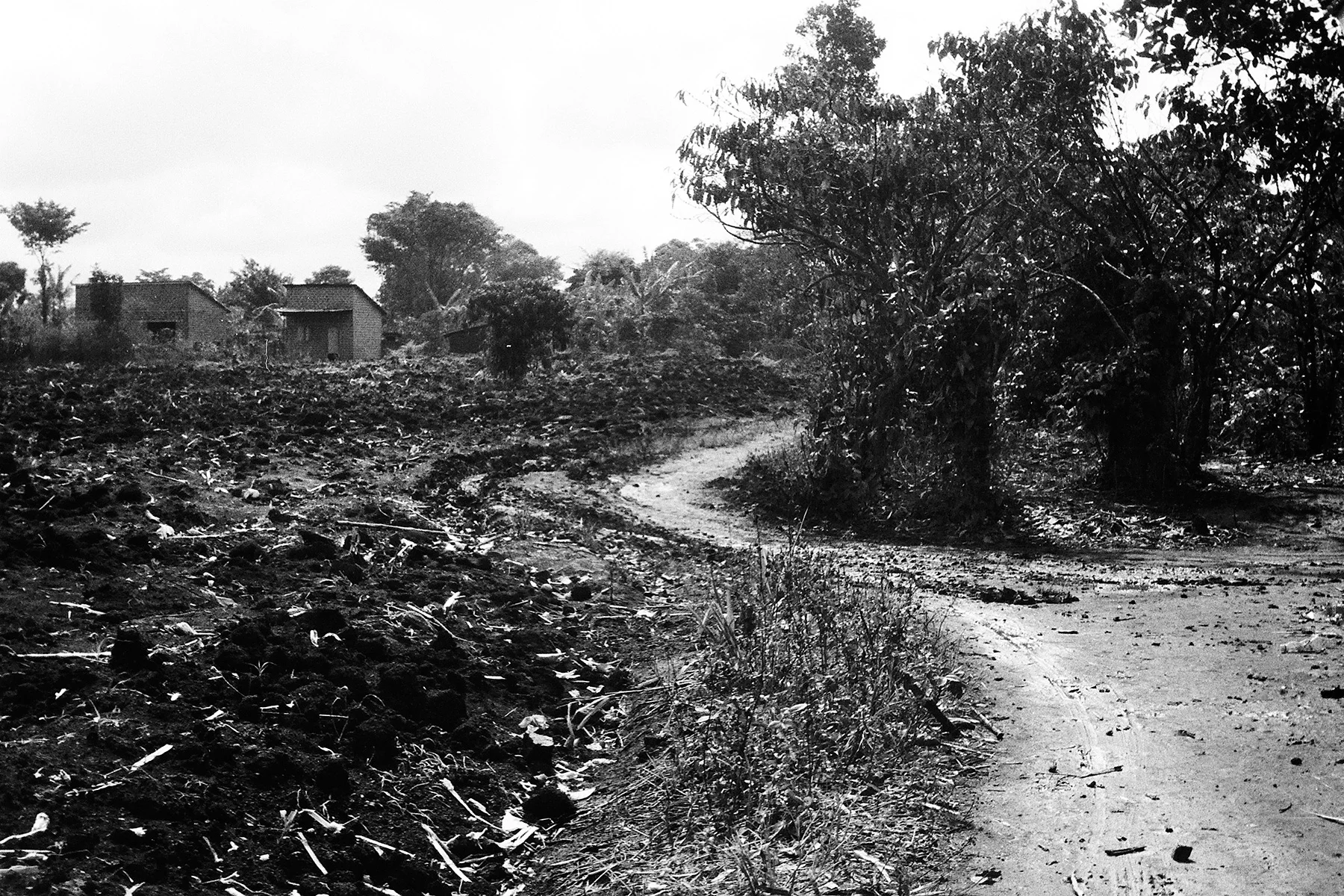Photographer: Mpiima Zacharious. Age: 13 years. Occupation: Student at BESO Junior School. "This picture shows the road that leads to our school, which is surrounded by farm fields. I walk it every day and get excited each morning when I go around this corner turn because I know school is near." 