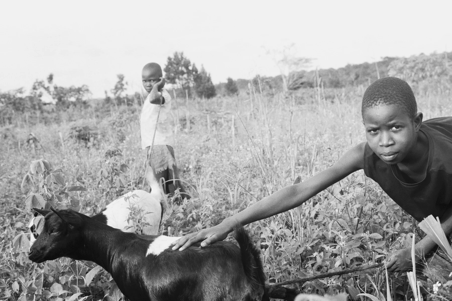 Photographer: Nalongo Bukenya. Age: 46 years. Occupation: Farmer. "These are my girls tending to our goats, which are important contributors to our livelihoods."