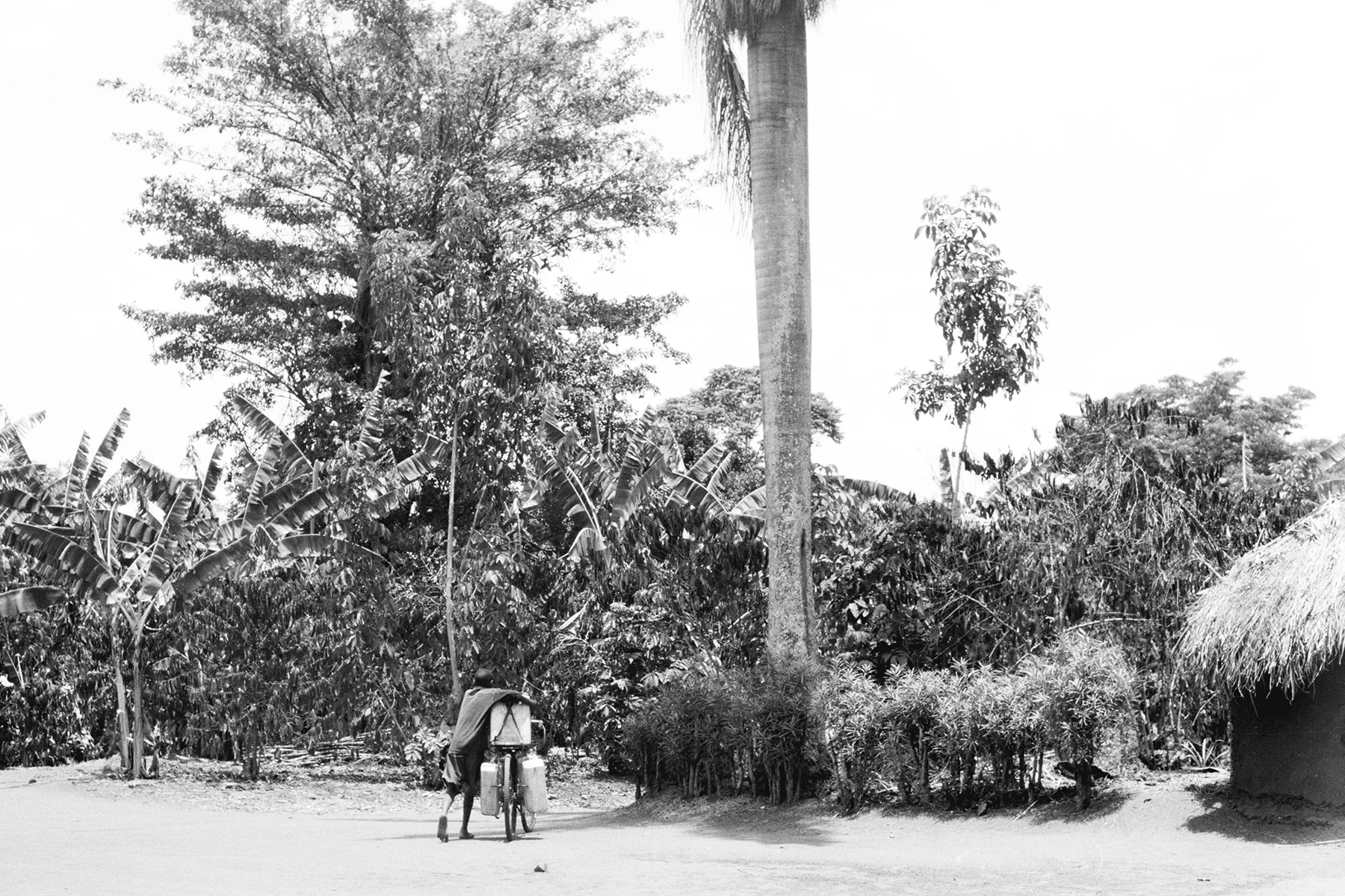 Photographer: Nabunya Rose. Age: 52 years. Occupation: Farmer. "When I took this picture my grandson was carrying water on a bicycle. It is easier to carry water on our bicycle than on our heads. But it still takes over one hour to fetch water. "