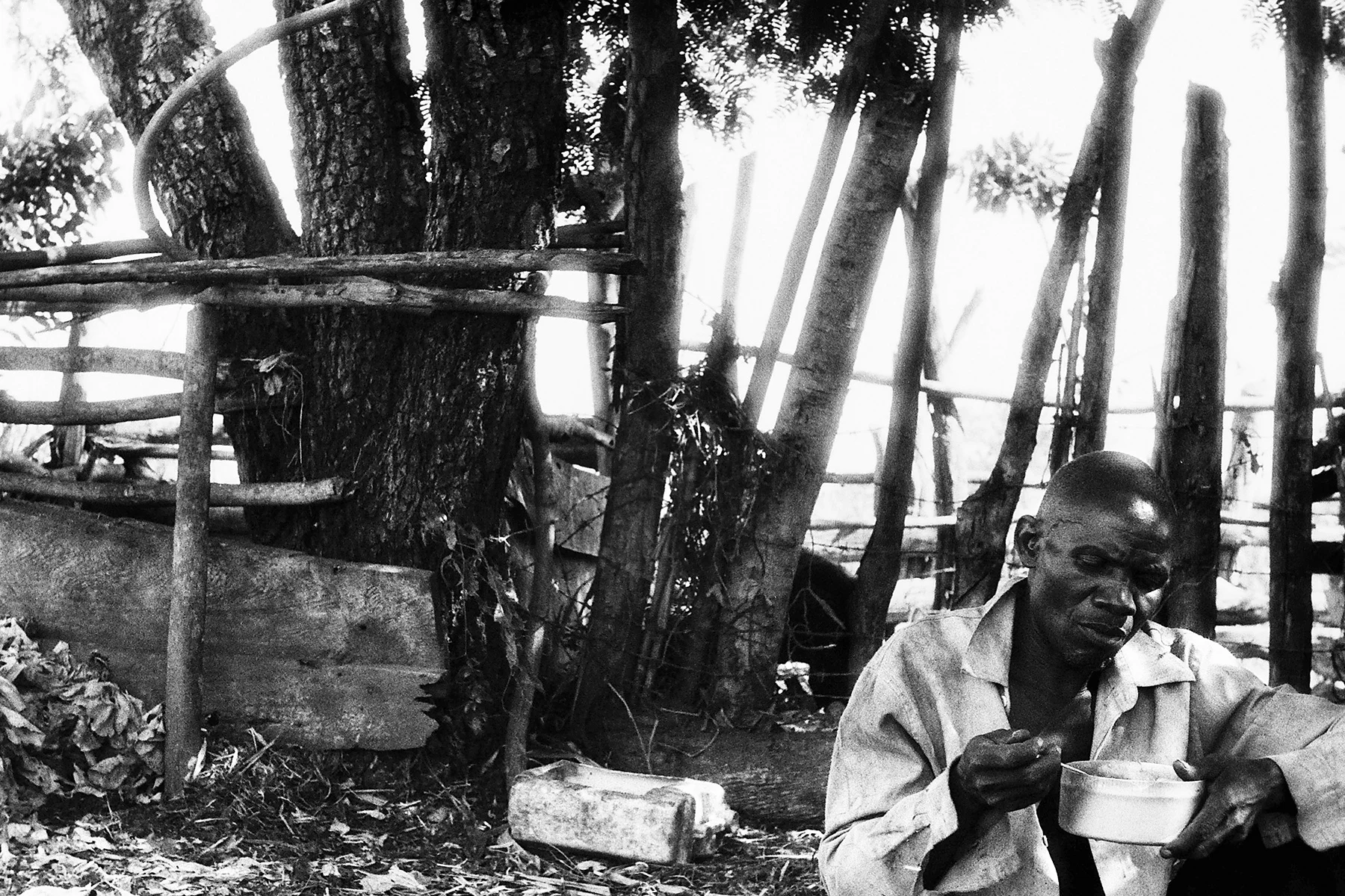 Photographer: Waiswa John. Age: 53 years. Occupartion: Farmer, WPC President, Community Agricultural Facilitator and Local Council Member. "This is my self-portrait that I took with the assistance of my neighbor and good friend Nabunya Rose. I wanted you to know that I am a humble man that does not mind eating outside next to my animals, which I love so much." 