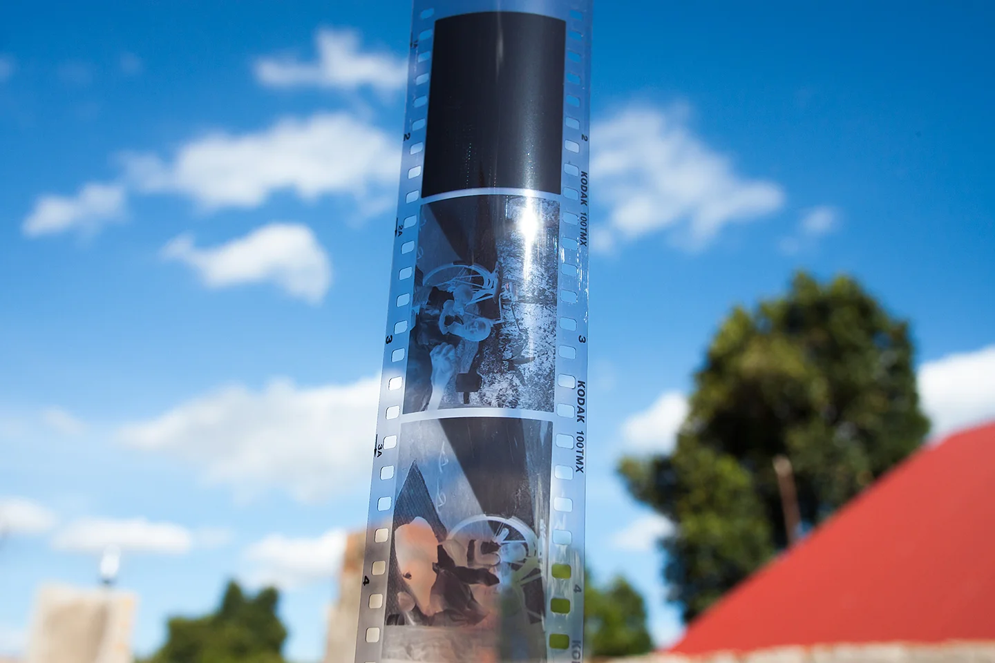 Work in progress -- drying film. 