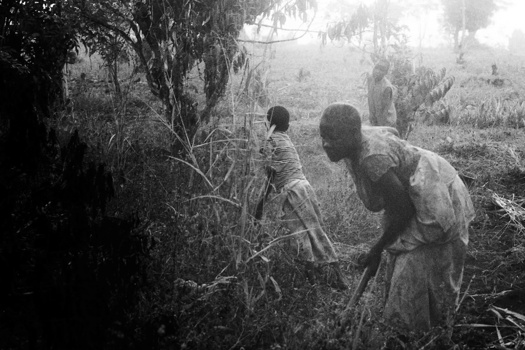 Photographer: Jamadah Mawoni. Age: 21 years. Occupation: Teacher at BESO Junior School. "Even the grandparents can dig. We work hard to get a meal. I am a single father and my grandmother helps me to raise my child. Through her hardships we get a meal. She is the number one woman in my life. I love her."