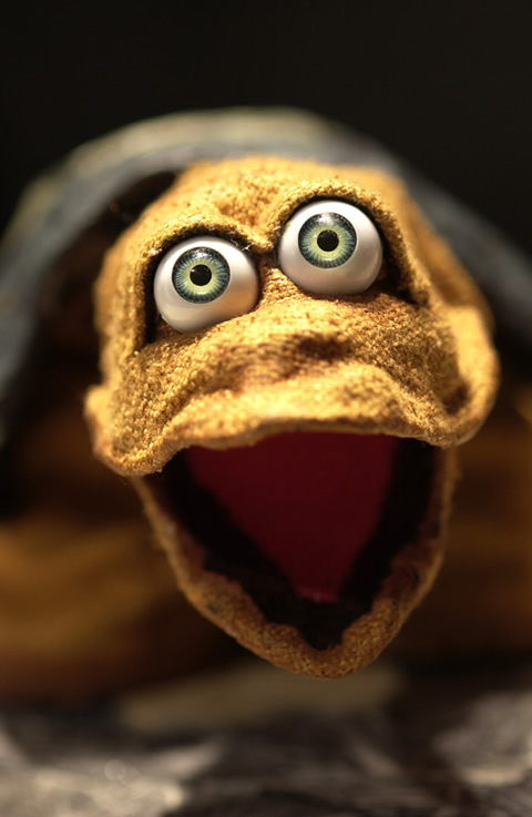 Galapagos George