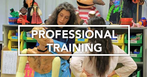 professional_training_framed.jpg