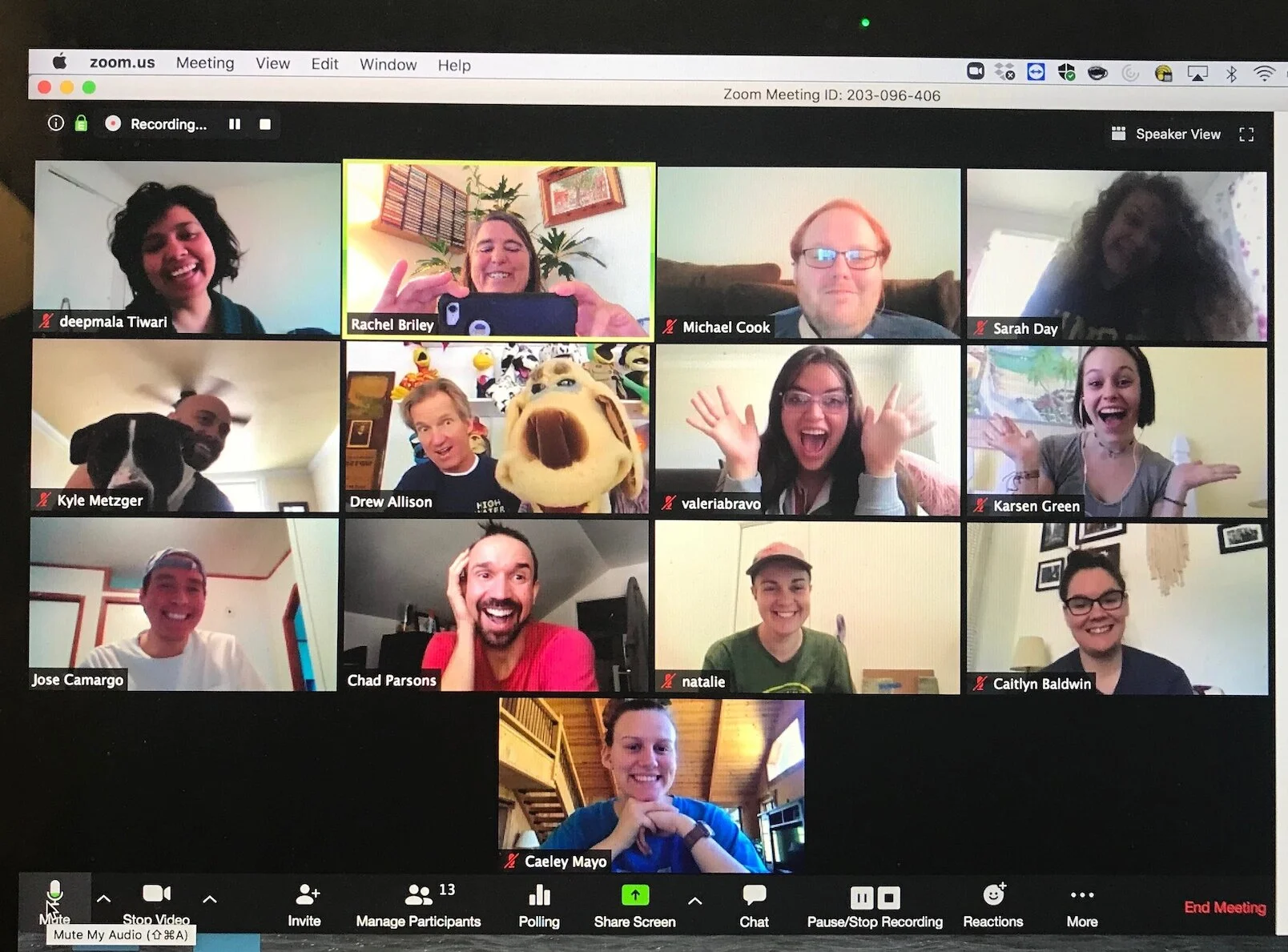 Talking Puppet Theory and Process with Students on Zoom