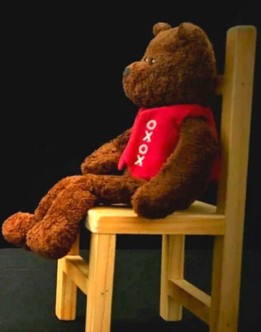 Puppet Therapy Diploma Classes Now in English