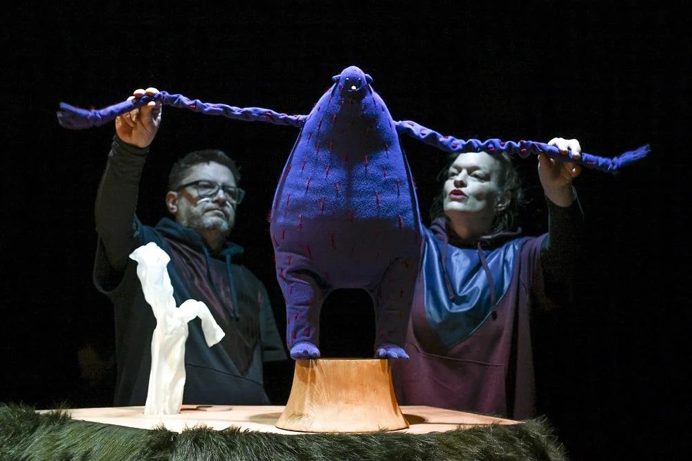 Visitors Program – Skupa’s Pilsen International Festival of Puppet and Alternative Theatre 2026