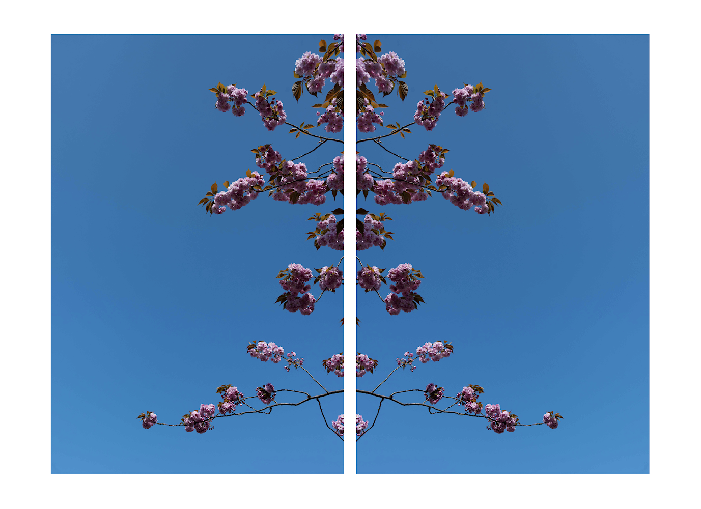 sky 3.png