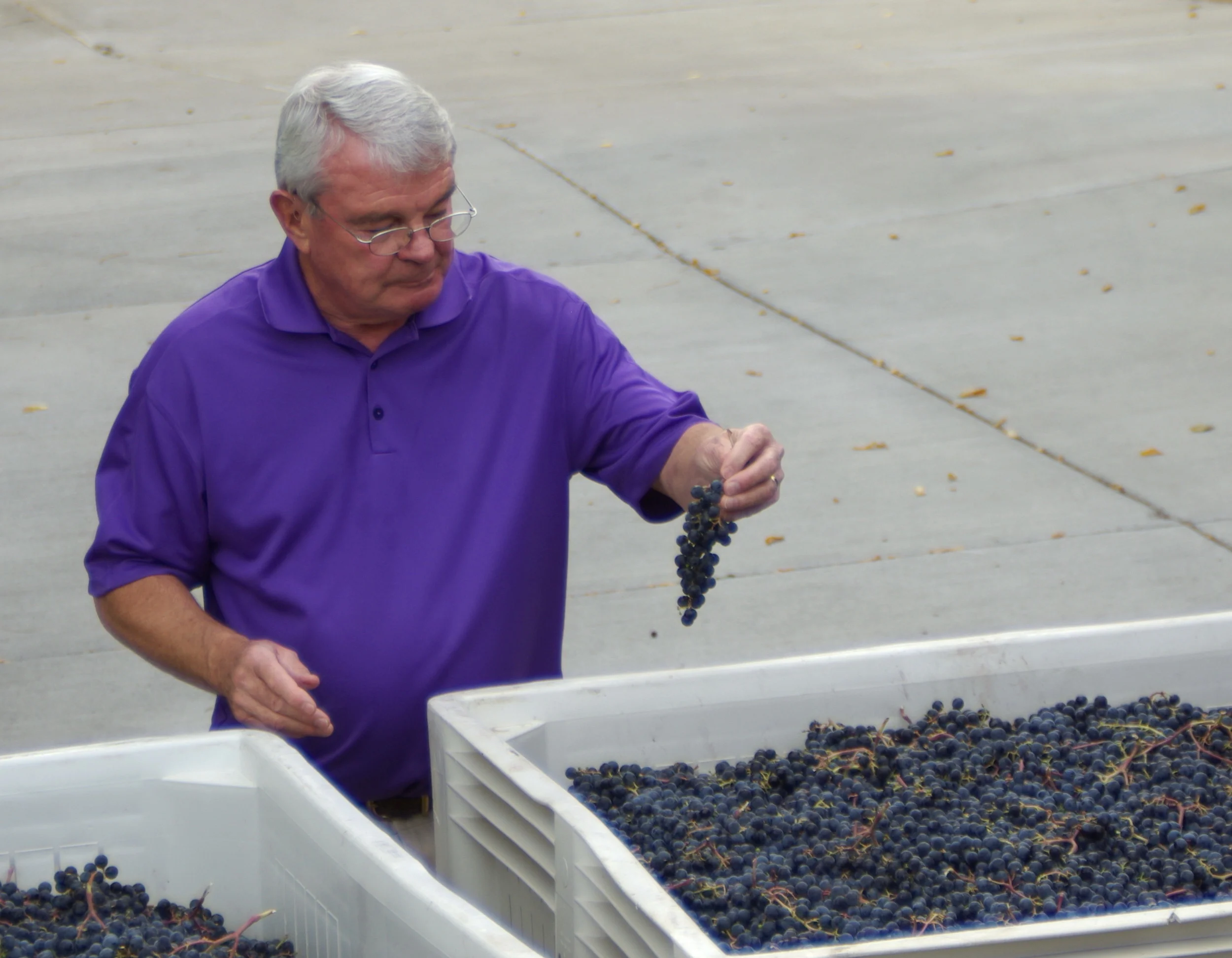 myles and grape cluster.jpg